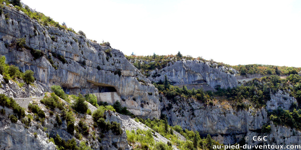 Au Pied du Ventoux, Guest House and Guest Table, B&B, Flassan, Bédoin, Provence